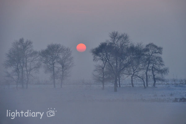 雾凇,雾凇岛,吉林雪乡,树挂,雪松,冬季摄影 雾凇,雾凇岛,吉林雪乡,树挂,雪松,冬季摄影