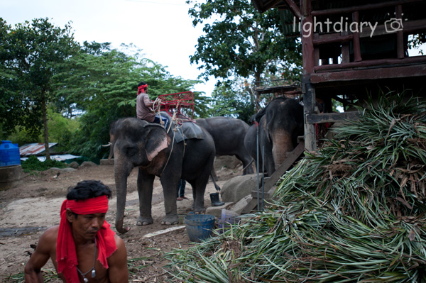泰国,普吉岛,香港,旅游