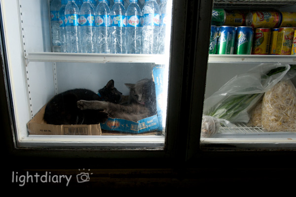 泰国,普吉岛,香港,旅游