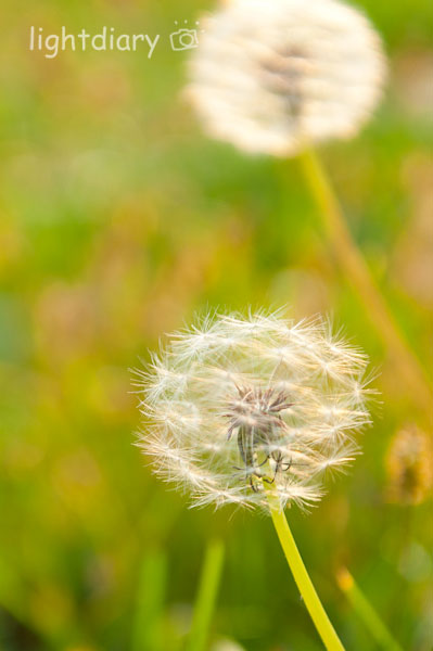 风光,大学,化工大学,和平西桥,秋天,秋色