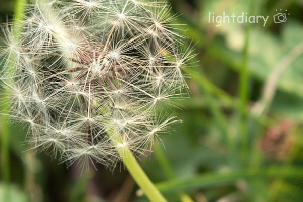 风光,大学,化工大学,和平西桥,秋天,秋色