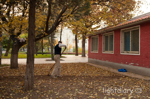 风光,大学,化工大学,和平西桥,秋天,秋色