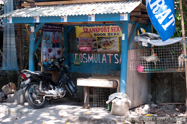 旅游,假期,巴厘岛