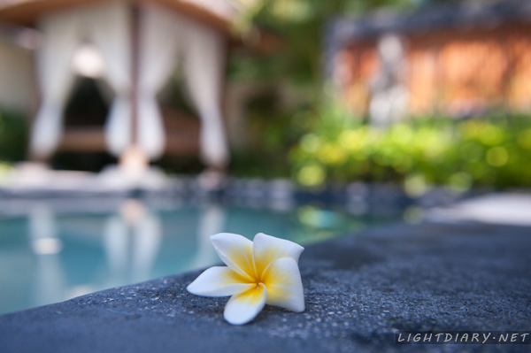 旅游,假期,巴厘岛