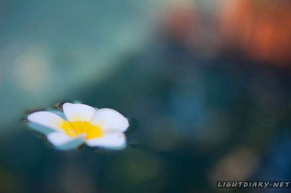 旅游,假期,巴厘岛