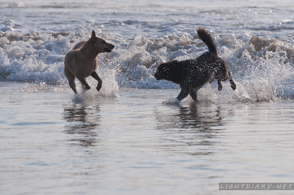 旅游,假期,巴厘岛