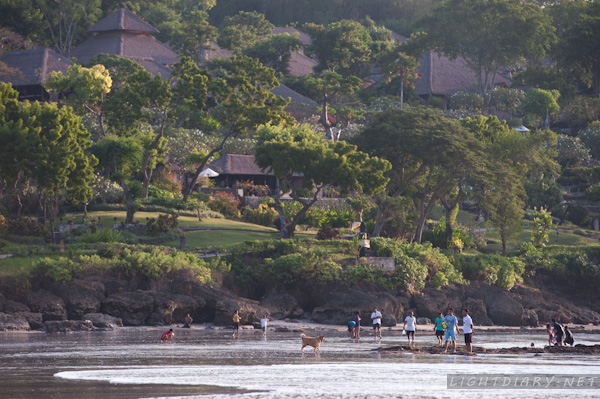 旅游,假期,巴厘岛