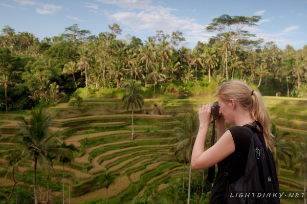 旅游,假期,巴厘岛,乌布