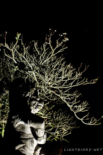 旅游,假期,巴厘岛,乌布