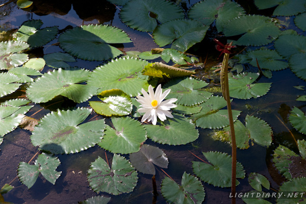 旅游,风光,巴厘岛,怒沙杜瓦