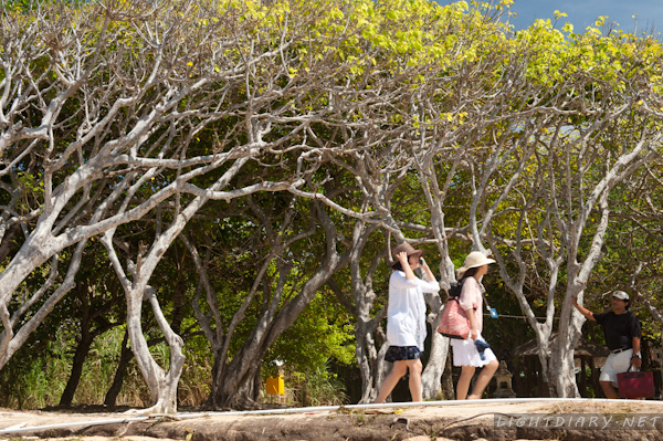 旅游,风光,巴厘岛,怒沙杜瓦
