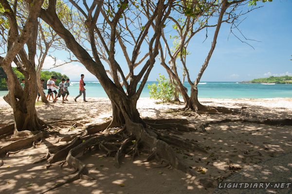 旅游,风光,巴厘岛,怒沙杜瓦