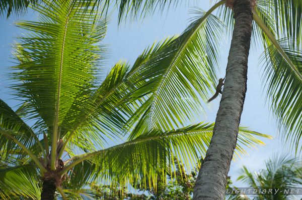 旅游,风光,巴厘岛,怒沙杜瓦