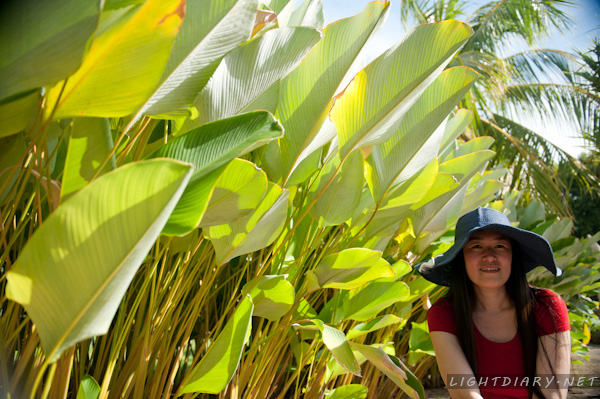 旅游,风光,巴厘岛,怒沙杜瓦