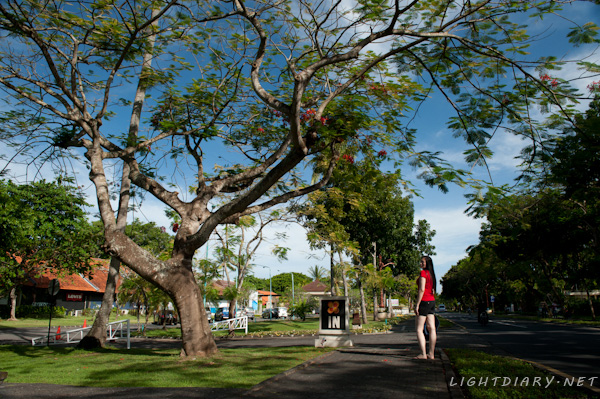 旅游,风光,巴厘岛,怒沙杜瓦