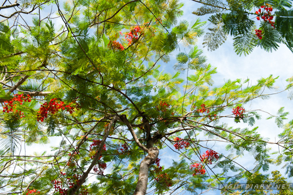 旅游,风光,巴厘岛,怒沙杜瓦
