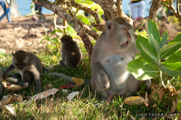 旅游,风光,巴厘岛,库塔,乌鲁瓦图