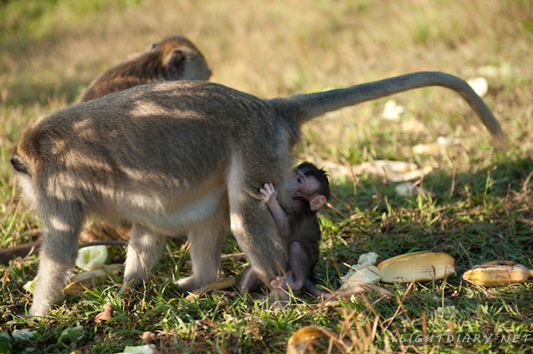 旅游,风光,巴厘岛,库塔,乌鲁瓦图