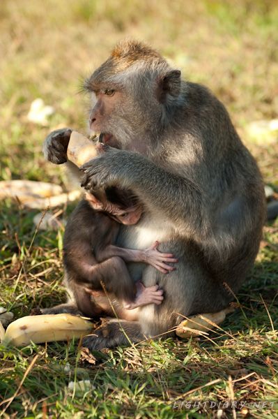 旅游,风光,巴厘岛,库塔,乌鲁瓦图
