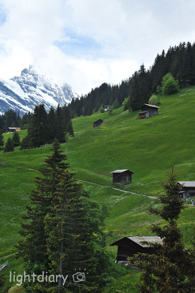 瑞士,因特拉肯,雪朗峰