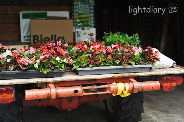 瑞士,因特拉肯,雪朗峰 瑞士,因特拉肯,雪朗峰