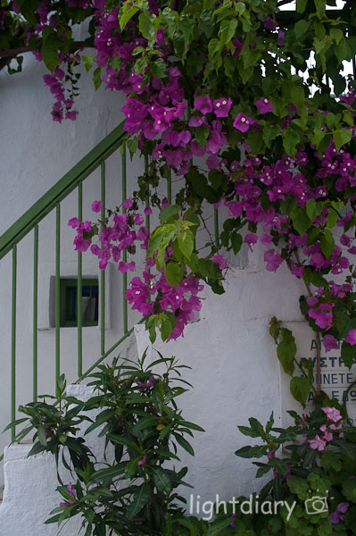 希腊,爱琴海,米克诺斯