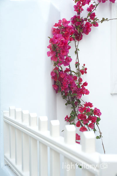 希腊,爱琴海,米克诺斯