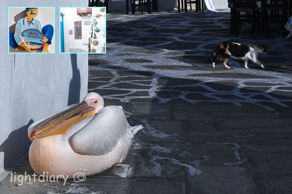 希腊,爱琴海,米克诺斯