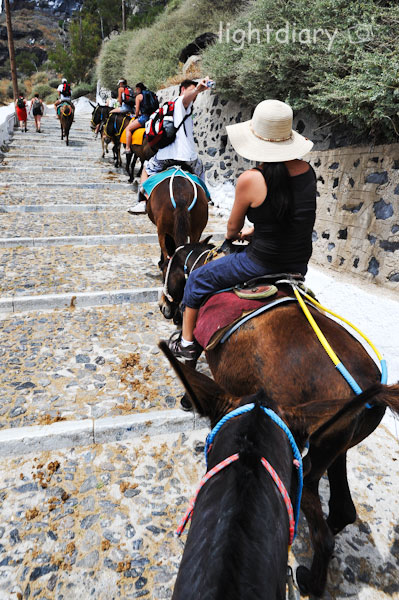 圣托里尼DonkeyTaxi