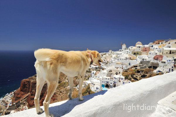 希腊,圣托里尼,oia