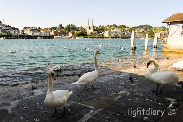 瑞士,卢塞恩,卢塞恩湖