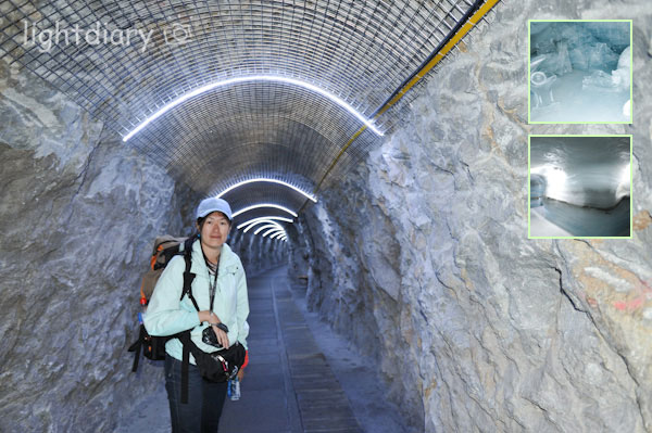 瑞士,因特拉肯,少女峰