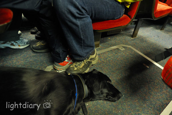 瑞士,因特拉肯,少女峰